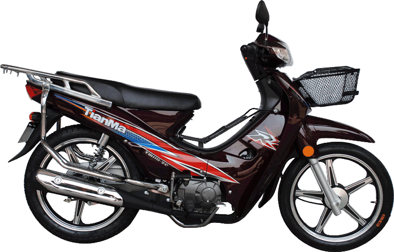 TM110-2E���A-2